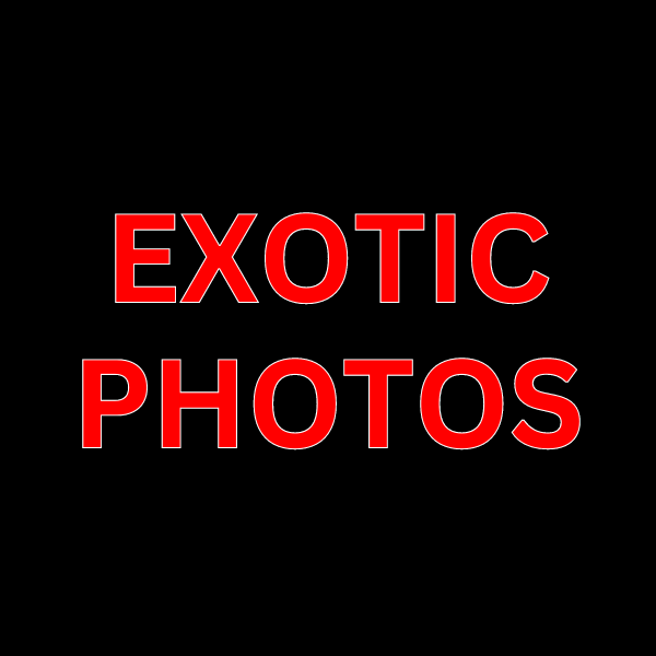 EXOTIC Photos